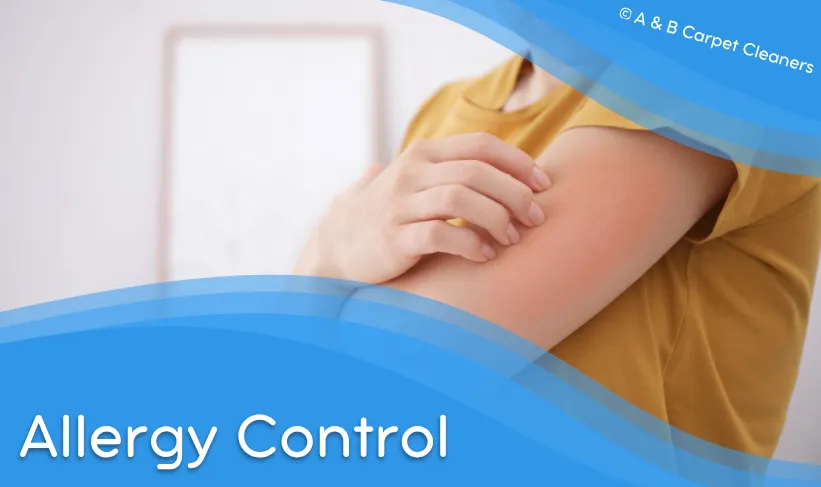 Expert Allergy Control service